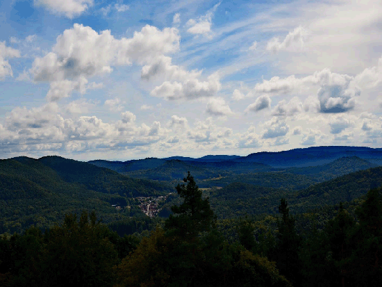 Wanderung Rimbachsteig 2016